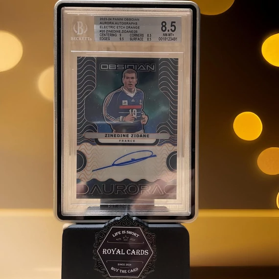 35 pt Beckett BGS grádelt kártyavédő tok – Royal Cards Supplies